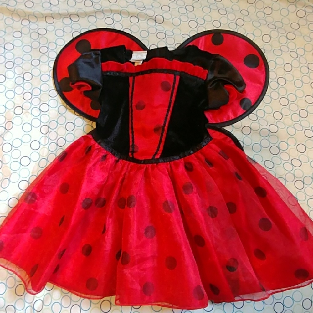 Baby girl lady bug costume.